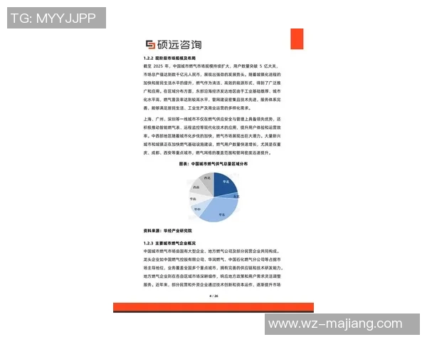 2026电竞新闻数据分析在液化天然气行业中的应用与意识提升探讨